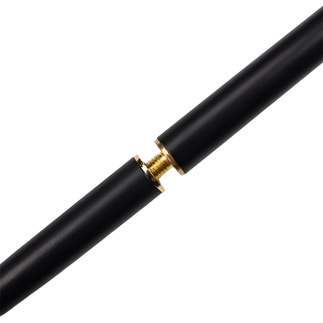 Трость со змеей