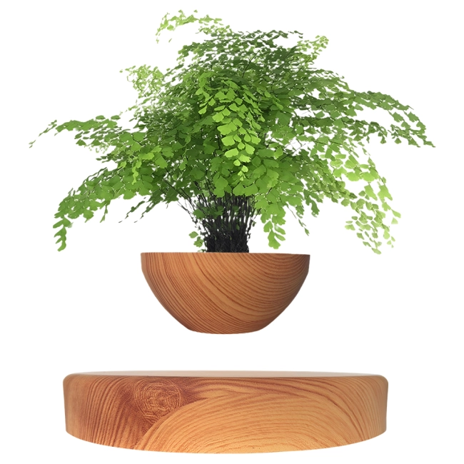 левитирующее кашпо