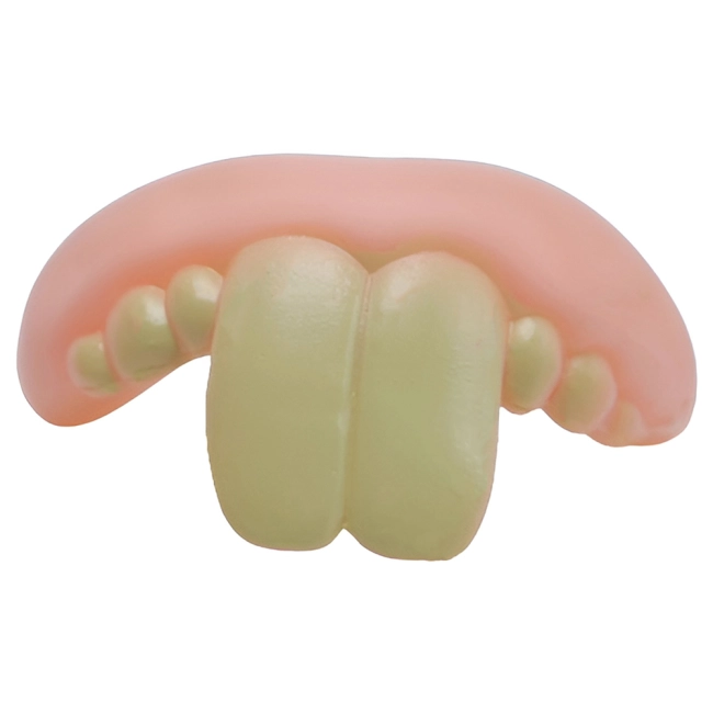 Накладні зуби для собаки