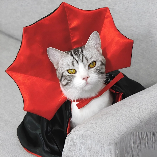 Костюм вампира на кота