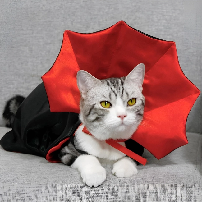 Плащ вампира для кота
