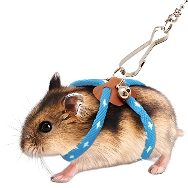 Повідець для хом'яка