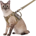 тактичний жилет коту