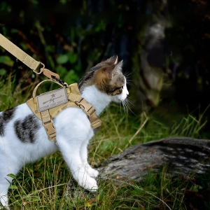тактическая шлейка для кота
