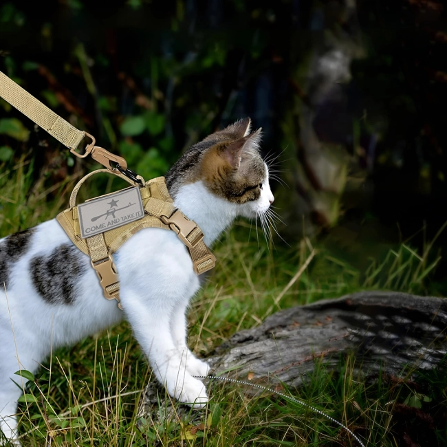 тактическая шлейка для кота