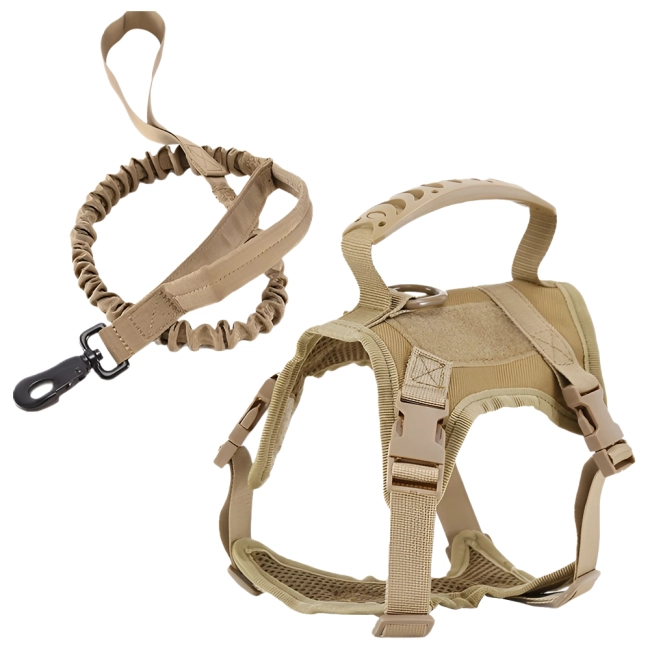 тактическая шлейка коту