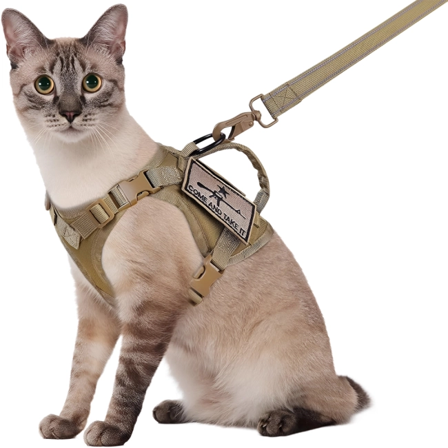 тактический жилет коту