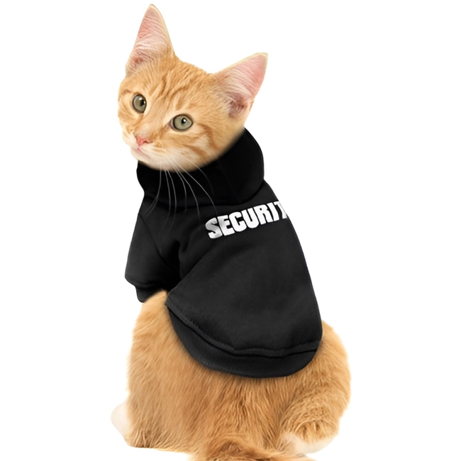 Худи для кота