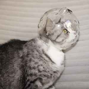 Намордник-шар для кошек