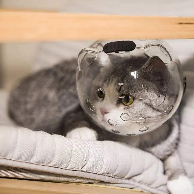 Котячий шолом