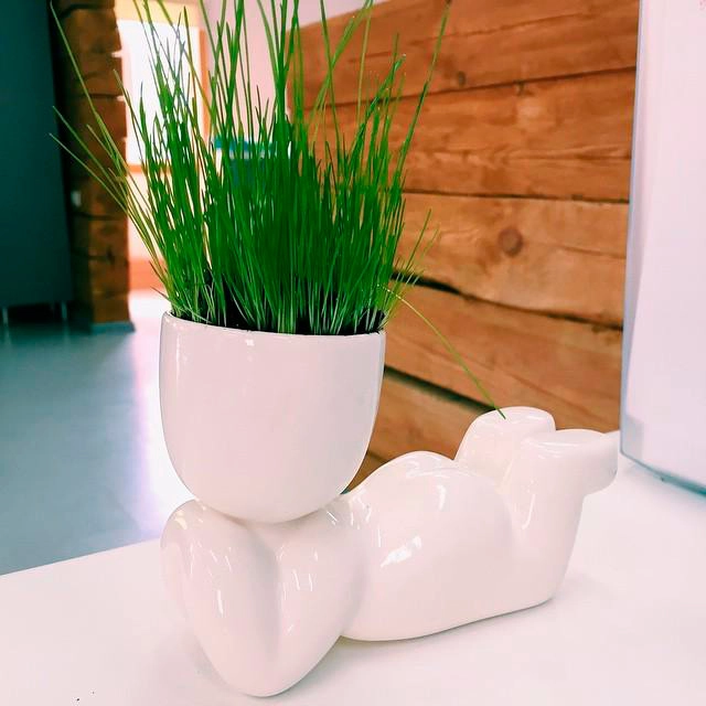 фигурка из которой растет трава