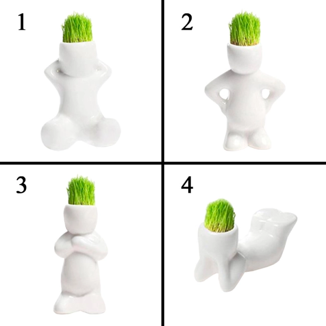 купить травянчик