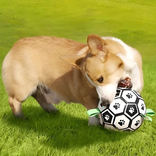 мяч для средних собак