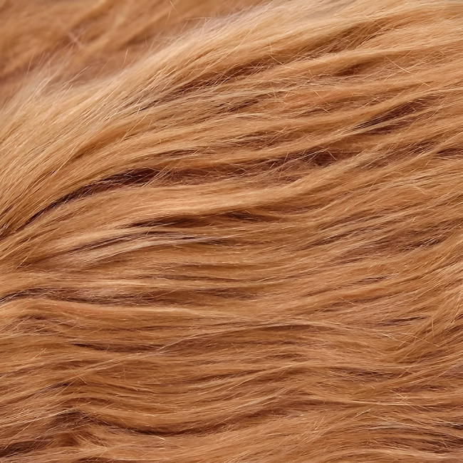 львиная грива для пса