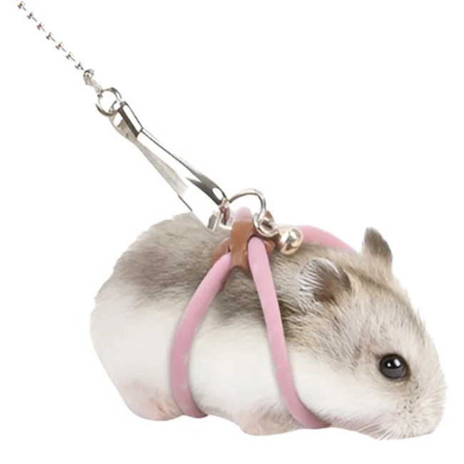 Повідець на гризунів