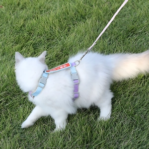 Повідець для домашніх тварин повідець для домашніх тварин