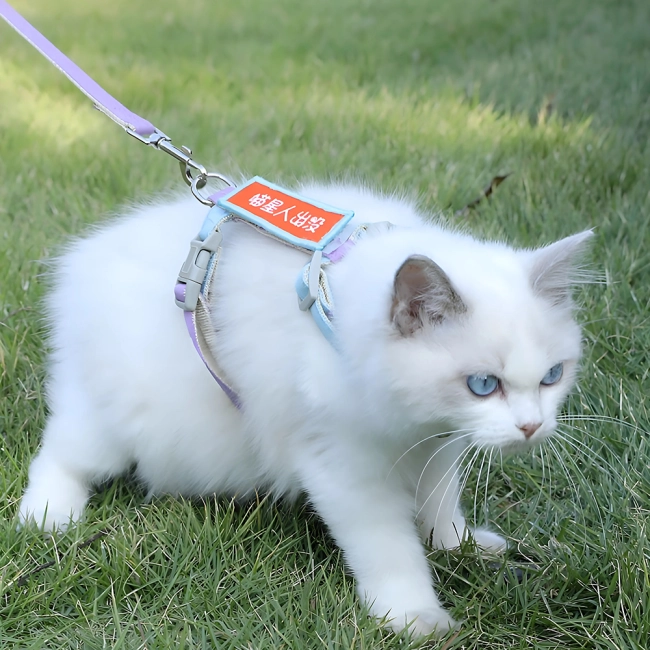 нагрудний повідець для тварин