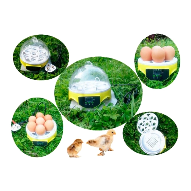 инкубатор для дома