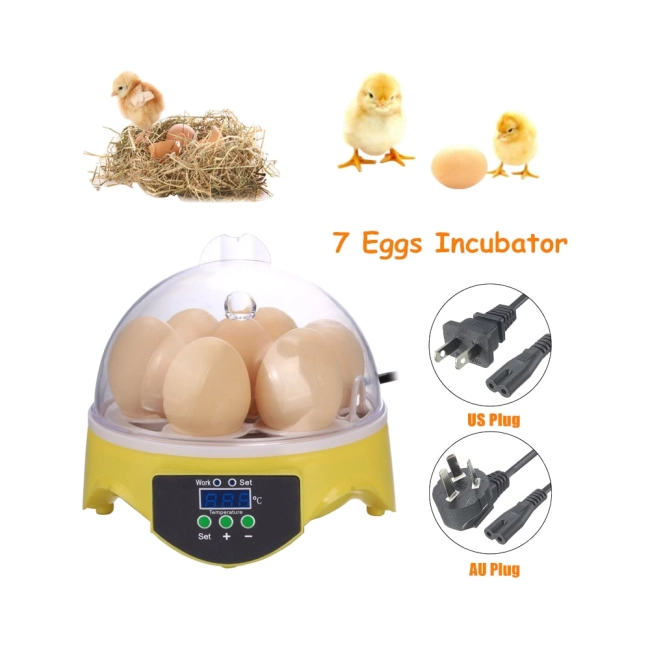 Домашний инкубатор для яиц