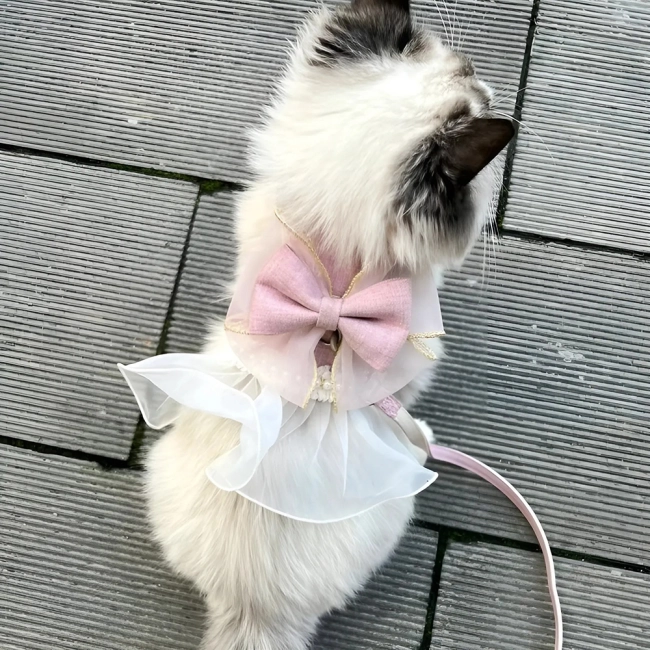 Кошачий поводок для прогулок