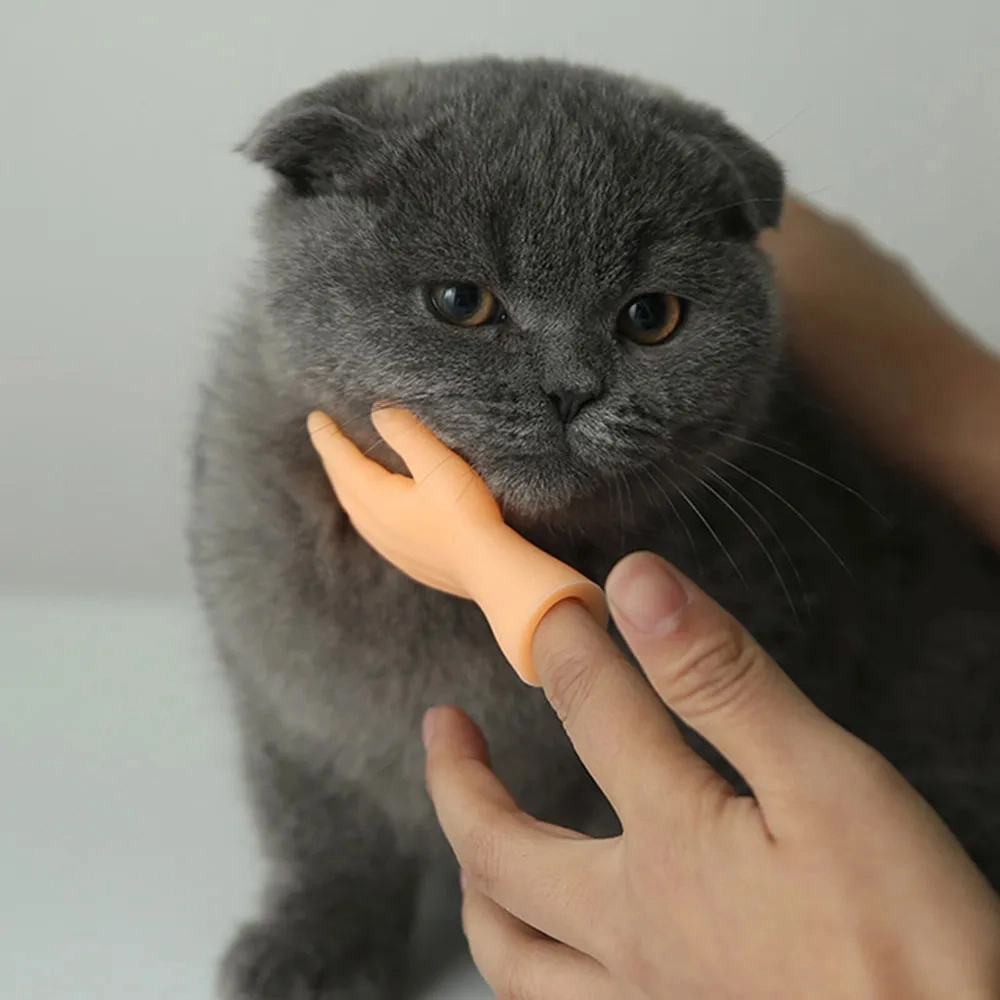 руки для кішок