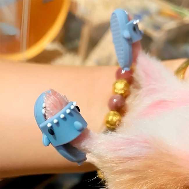 тапочки-акулы для грызунов