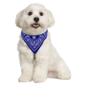 Бандана для собаки