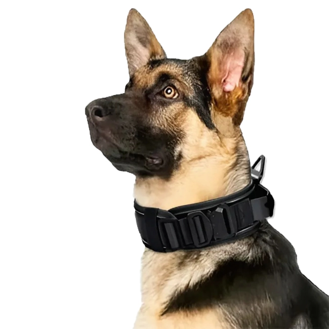 светоотражающий ошейник для собак