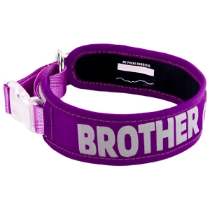 ошейник с надписью для собак