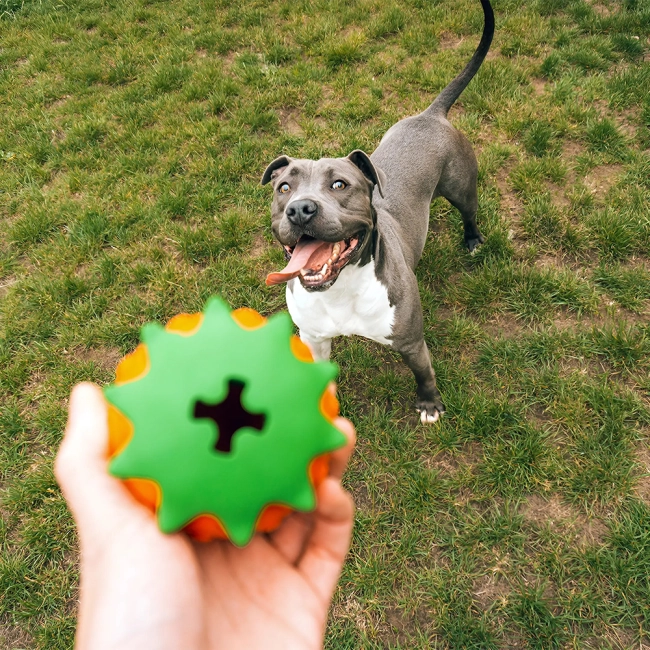 Игрушка для медленного кормления собак