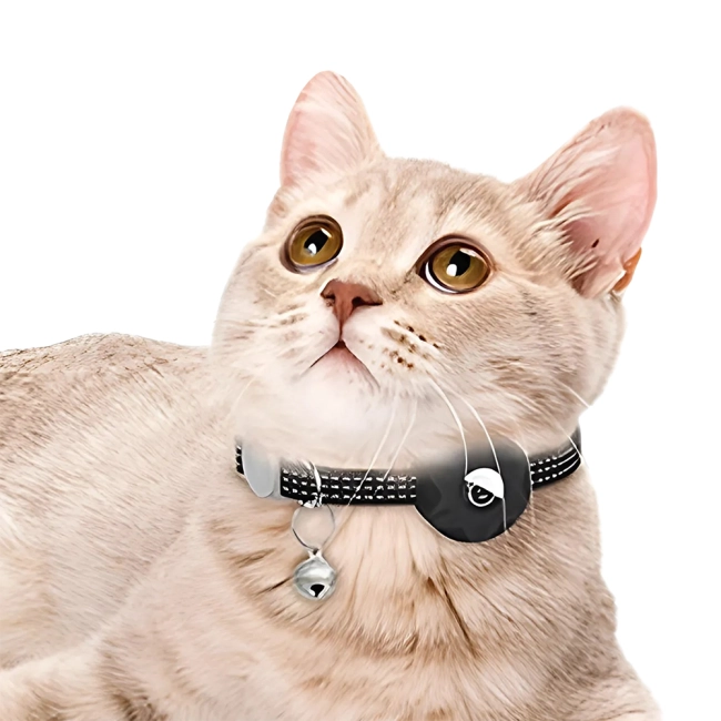 ошейник для кошек с колокольчиком