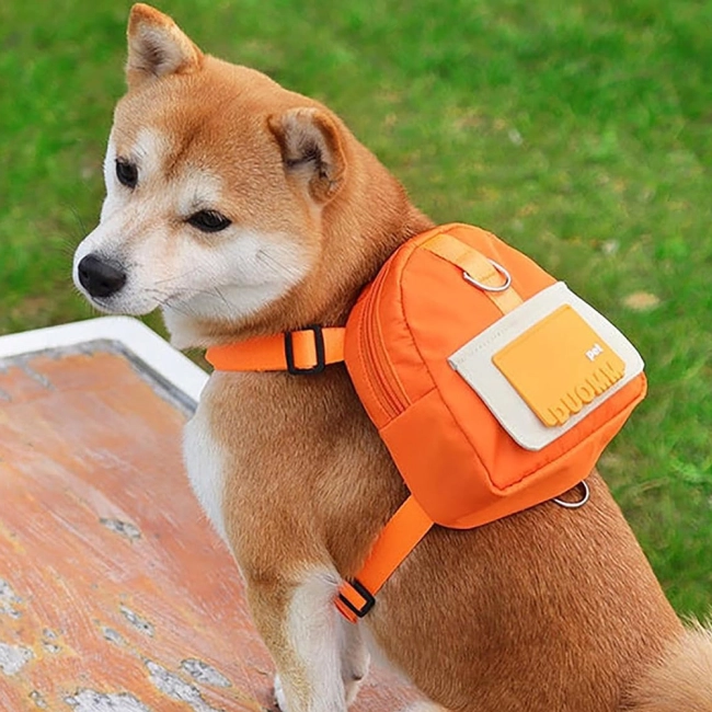 Рюкзак на собаку с поводком