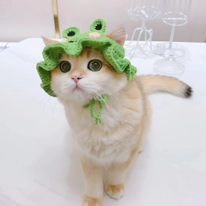 Шапка на кота