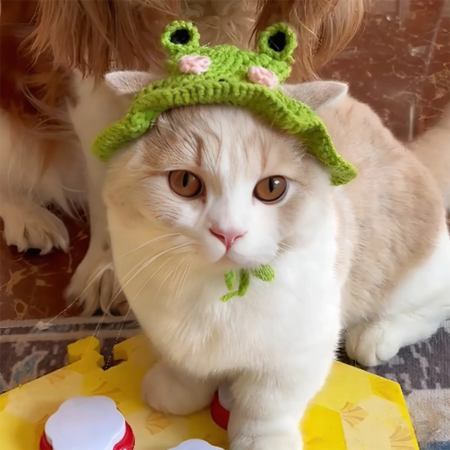 Купити шапку на кота