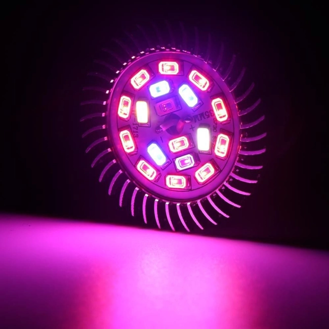 фитолампа для орхидей