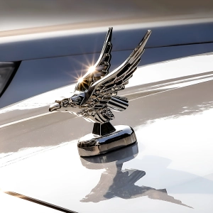 Птах на капот машини птах на капот