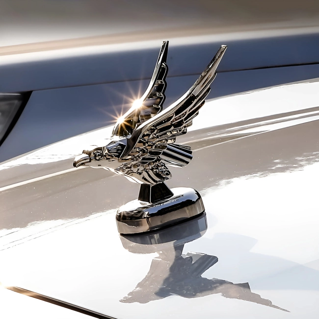 птах на капот