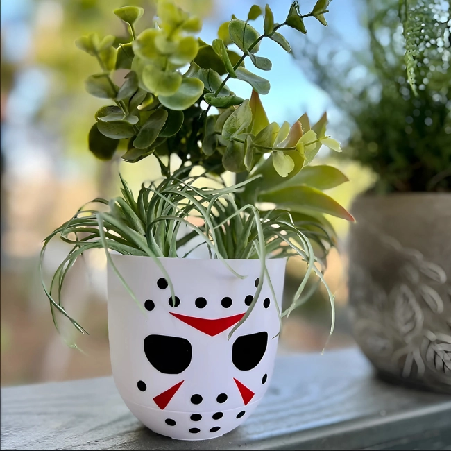 кашпо для суккулента