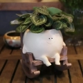 цветочный горшок качалка