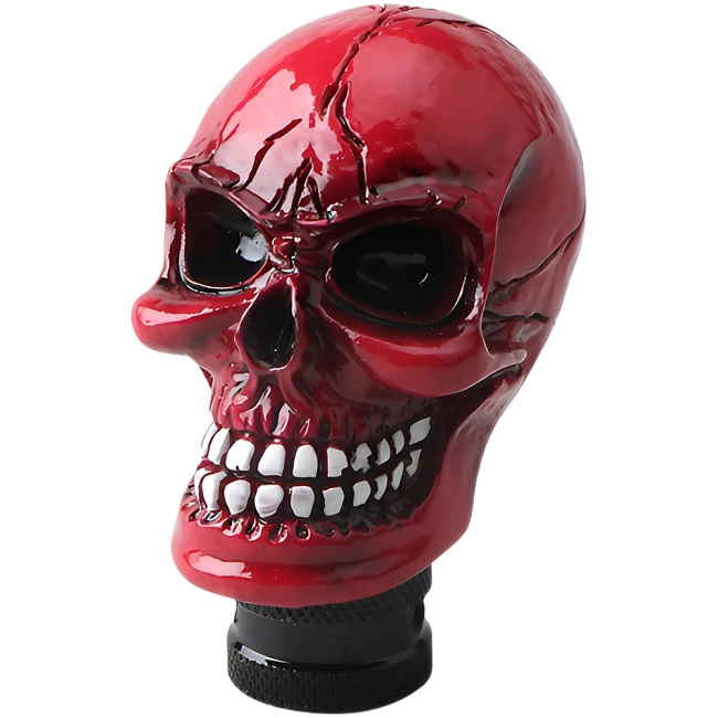 череп на КПП