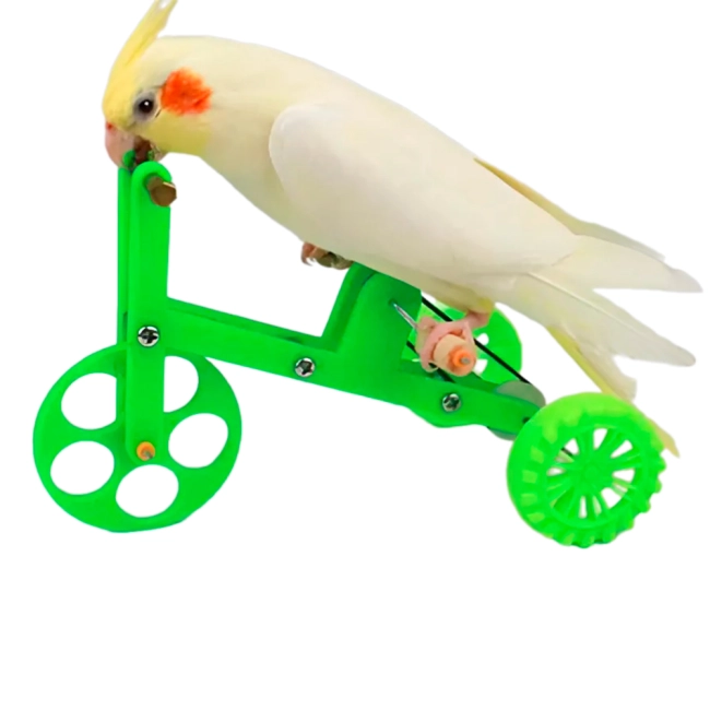 іграшка велосипед для папуги