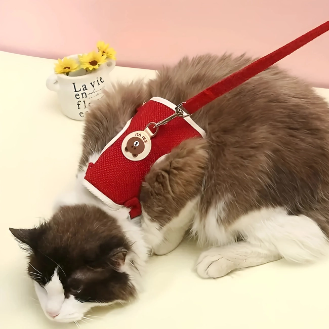 поводок для домашнего животного