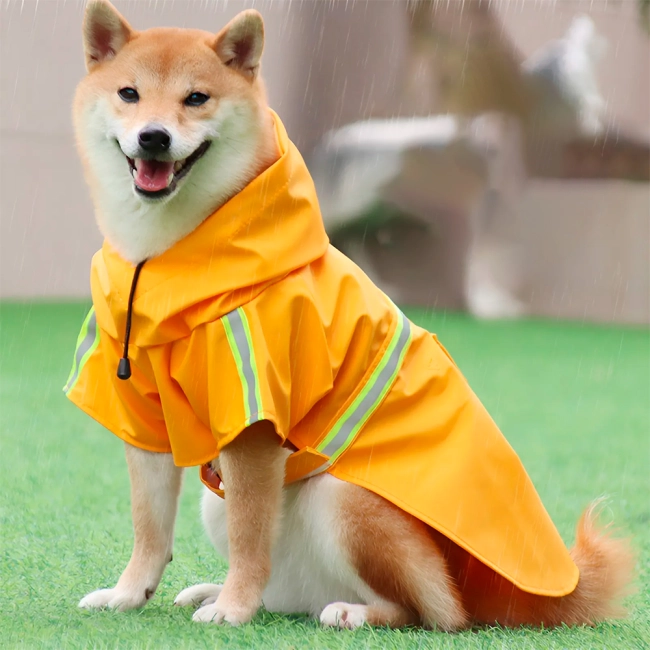 плащ от дождя для собак