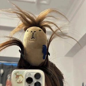 Ободок капибара