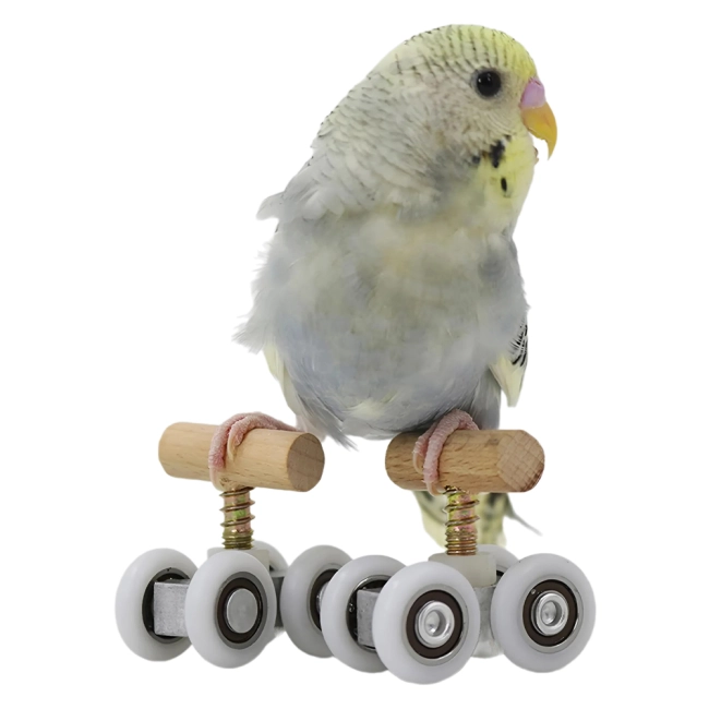 Ролики на птахів