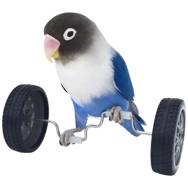 колеса для дресирування птахів