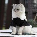 костюм для кошки с чепчиком