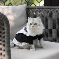 платье для кошки