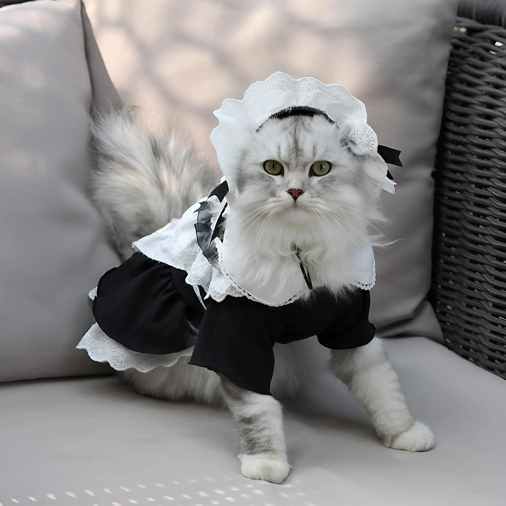платье для кошки