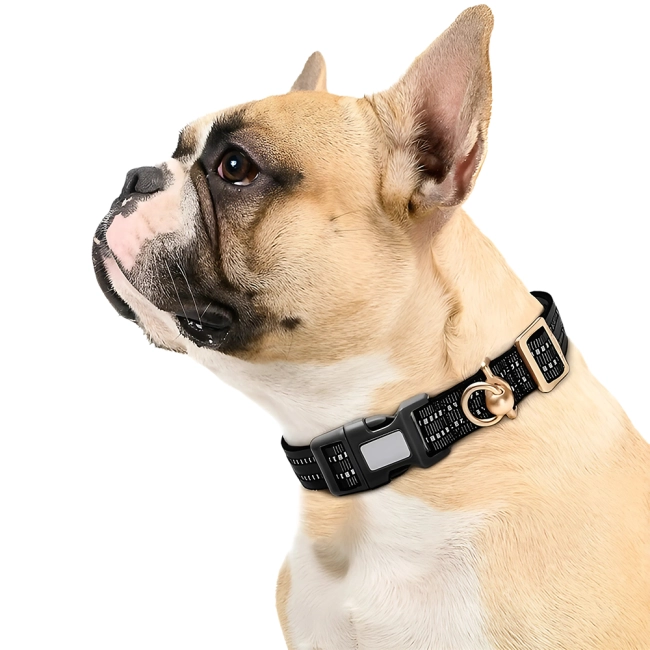 нашийник для трекера на собаку